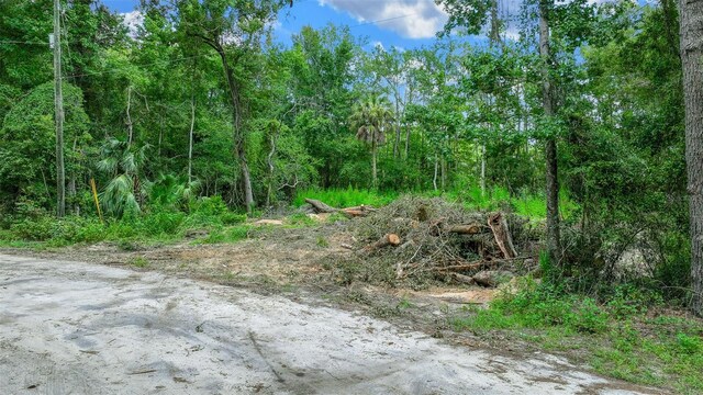 16535 SE 100th Pl, Ocklawaha, FL 32179