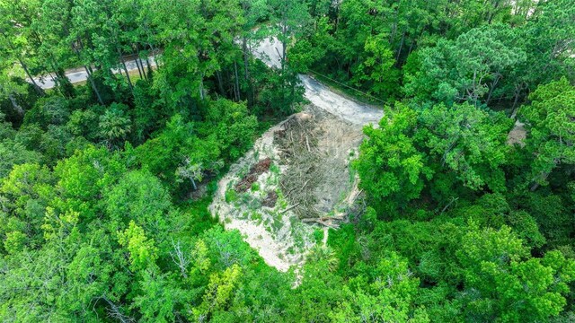 16535 SE 100th Pl, Ocklawaha, FL 32179