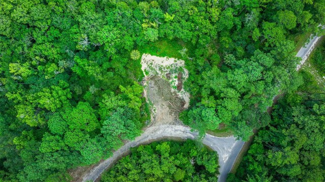 16535 SE 100th Pl, Ocklawaha, FL 32179