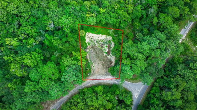 16535 SE 100th Pl, Ocklawaha, FL 32179