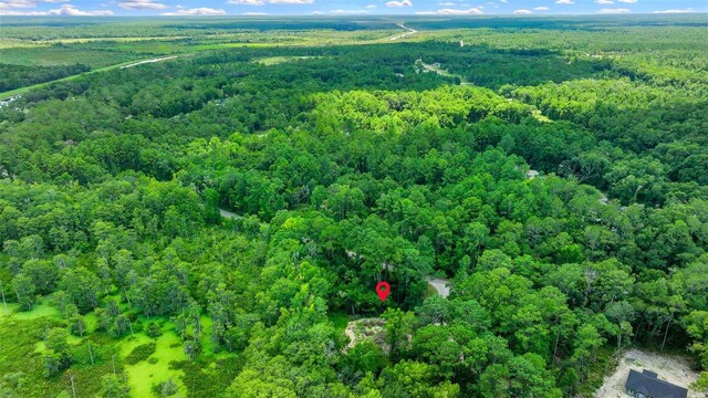 16535 SE 100th Pl, Ocklawaha, FL 32179