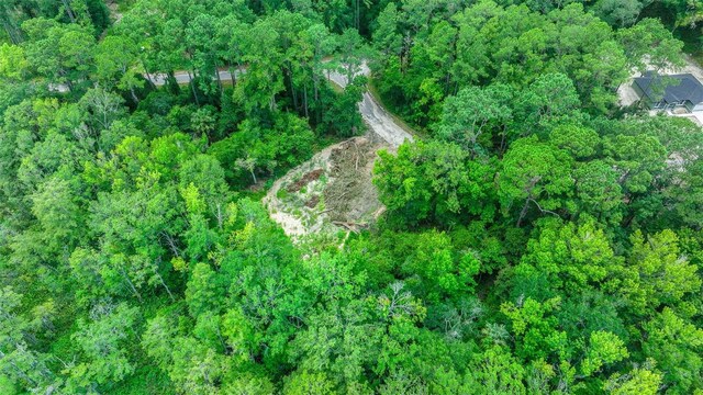 16535 SE 100th Pl, Ocklawaha, FL 32179