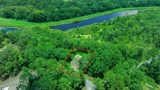 16535 SE 100th Pl, Ocklawaha, FL 32179