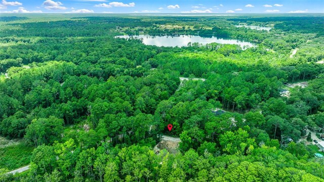 16535 SE 100th Pl, Ocklawaha, FL 32179