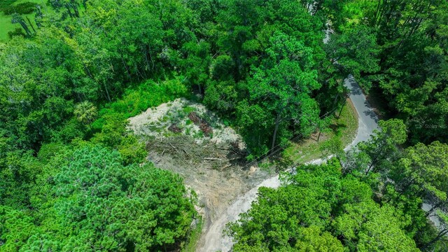 16535 SE 100th Pl, Ocklawaha, FL 32179