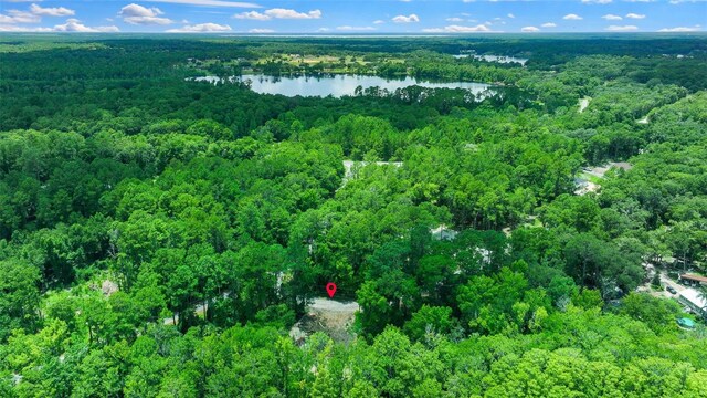 16535 SE 100th Pl, Ocklawaha, FL 32179