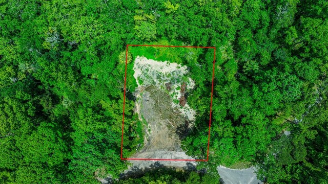 16535 SE 100th Pl, Ocklawaha, FL 32179