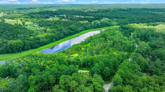 16535 SE 100th Pl, Ocklawaha, FL 32179