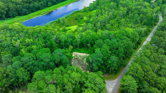 16535 SE 100th Pl, Ocklawaha, FL 32179