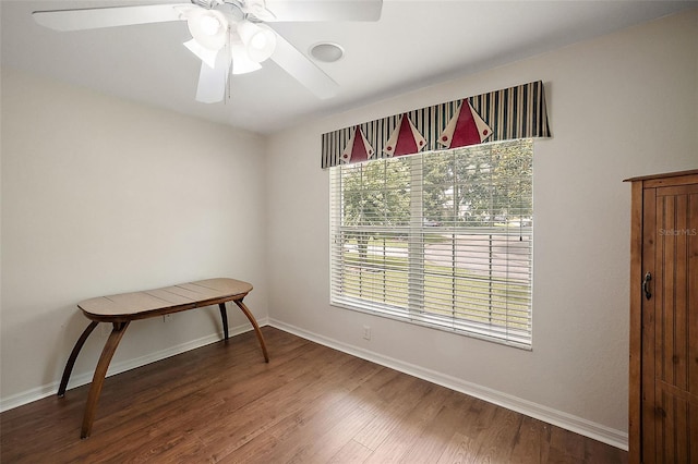 empty room featuring ceiling fan and hardwood / wood-style flooring