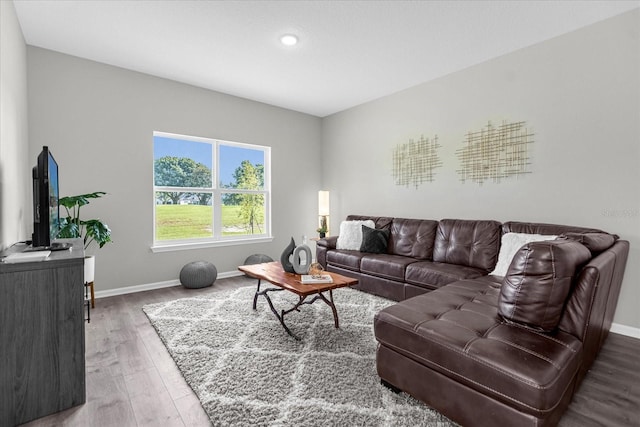 living room featuring wood-type flooring