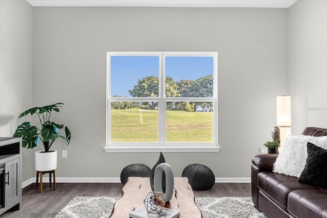 interior space featuring a wealth of natural light and hardwood / wood-style floors