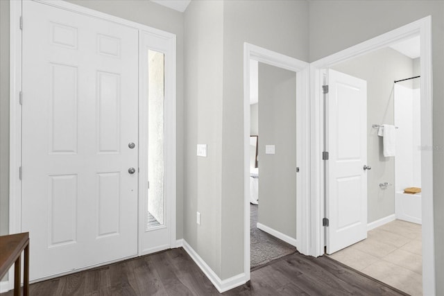 entryway featuring wood-type flooring