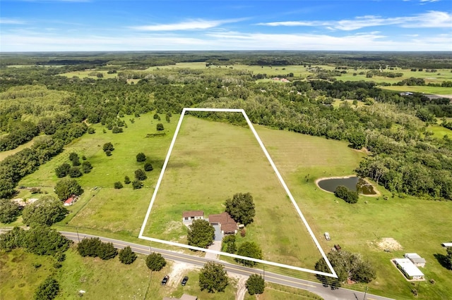13832 Bay Lake Rd, Groveland, FL 34736 - photo 47