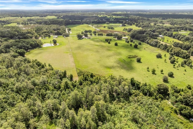 13832 Bay Lake Rd, Groveland, FL 34736 - photo 49