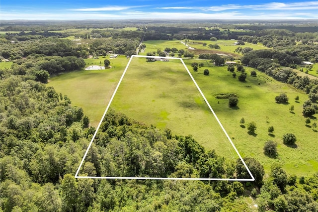 13832 Bay Lake Rd, Groveland, FL 34736 - photo 50