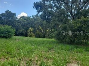 Listing photo 2 for 11826 Oswalt Rd, Clermont FL 34711