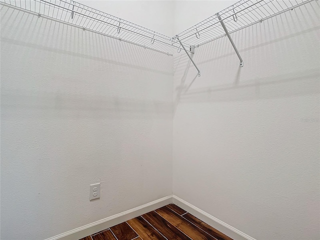 spacious closet featuring dark wood finished floors