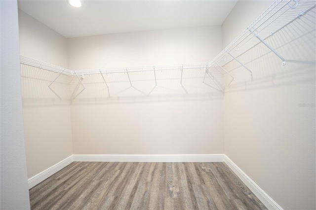 walk in closet with hardwood / wood-style floors