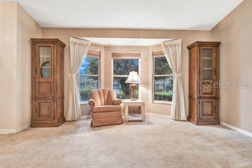 sitting room featuring carpet floors and a wealth of natural light