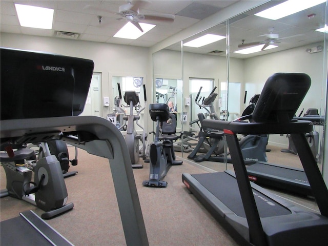 gym with a drop ceiling, carpet, and ceiling fan