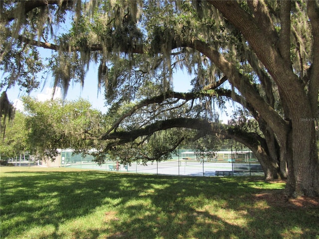 view of yard with tennis court