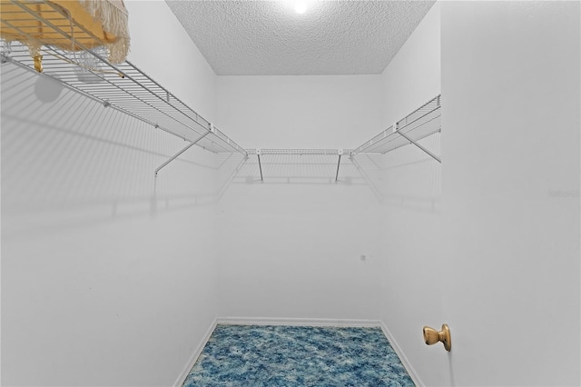17574 SE 106th Ave, Summerfield, FL 34491 - photo 30