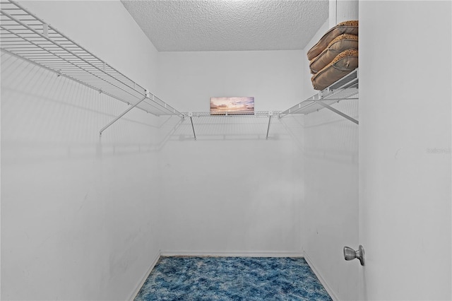 17574 SE 106th Ave, Summerfield, FL 34491 - photo 22