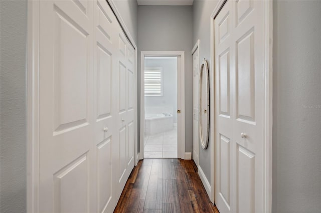 hall with dark hardwood / wood-style flooring