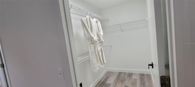 walk in closet with light hardwood / wood-style flooring