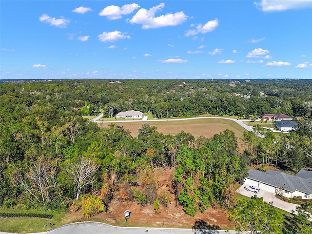 7082 Norne Ln, Mount Dora FL, 32757 land for sale