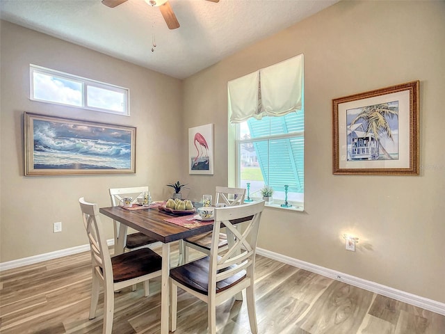 dining area with light hardwood / wood-style floors, ceiling fan, and plenty of natural light