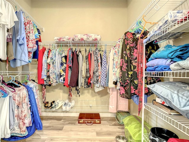 walk in closet featuring hardwood / wood-style flooring