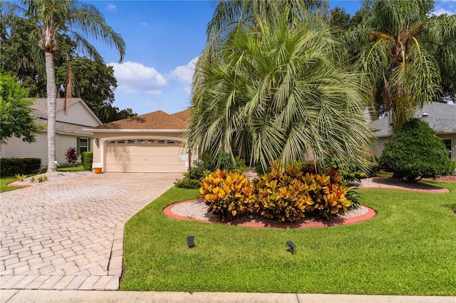 view of front facade featuring a garage and a front lawn