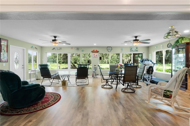 living room featuring light hardwood / wood-style floors and ceiling fan