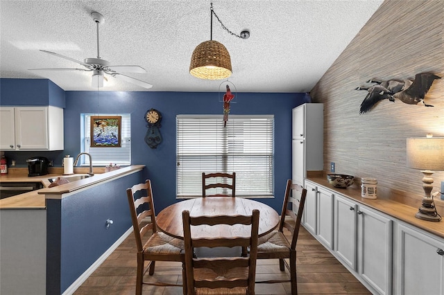 dining space featuring ceiling fan, sink, a textured ceiling, and dark hardwood / wood-style flooring