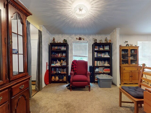 sitting room featuring light colored carpet, ornamental molding, and plenty of natural light