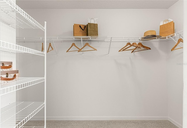 spacious closet with carpet