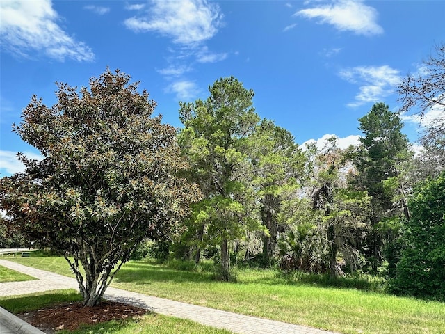 16023 Pendio Dr, Bella Collina FL, 34756 land for sale