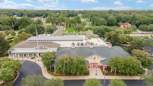 bird's eye view