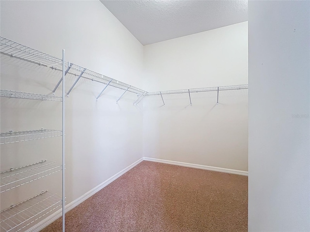 walk in closet with carpet floors