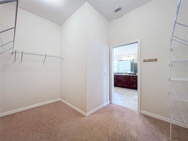 spacious closet with a sink, visible vents, and light colored carpet