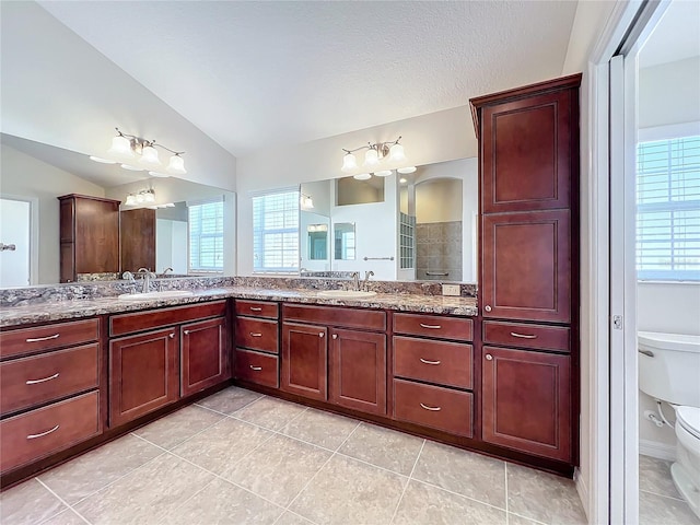 full bathroom featuring vaulted ceiling, a wealth of natural light, a sink, and toilet