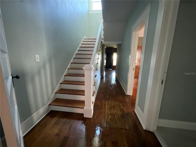 stairway featuring hardwood / wood-style flooring