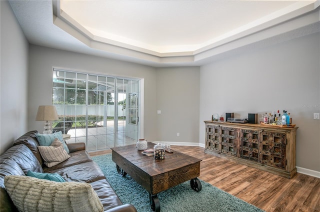 living room with hardwood / wood-style floors and a tray ceiling