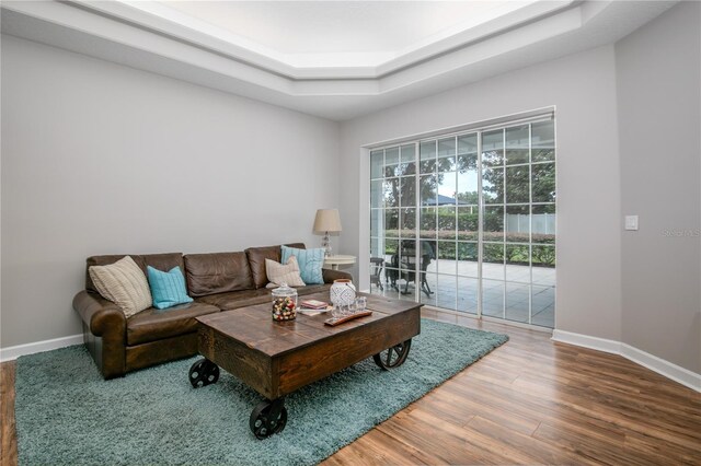 living room featuring a raised ceiling and hardwood / wood-style floors