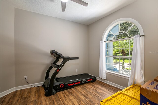 exercise room featuring ceiling fan, wood-type flooring, and a textured ceiling