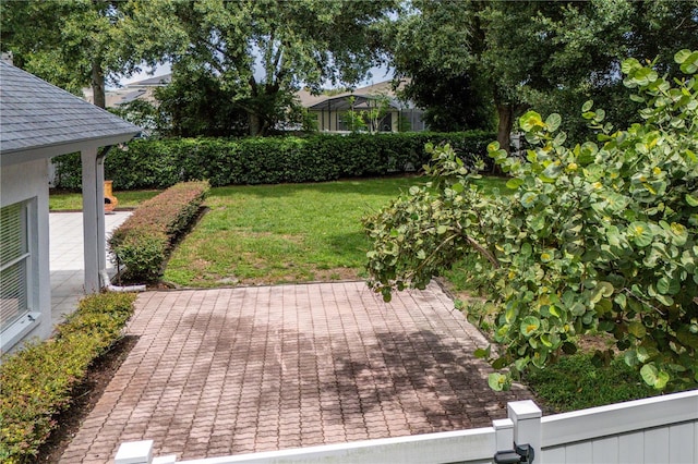 view of yard featuring a patio area