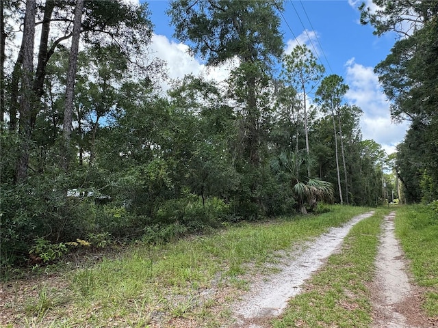 NW 58th Pl, Chiefland FL, 32626 land for sale