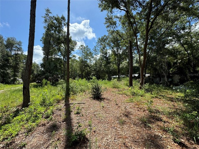 NW 58th Pl, Chiefland, FL 32626 - photo 7